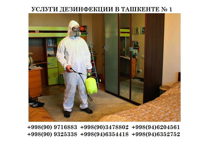 Дезинфекции в Ташкенте, дератизация в ташкенте, центр дезинфекции, центр дезинфекции в ташкенте, центр дезинфекции ташкенте, от тараканов средство, средство от клопов, как избавиться от клопов, клопы постельные, клопы фото, клопы в квартире, укусы клопов, тараканы в квартире, как вывести клопов, клопы постельные фото, как избавиться от клопов в квартире, как выглядят клопы, укусы клопов фото, постельные клопы как избавиться, обработка от клопов, блохи фото, борная кислота от тараканов, постельные клещи, палач от клопов, клопы дома, как избавиться от тараканов, клопы цена, купить средство от клопов, постельные клещи, от тараканов эффективное, как вывести тараканов, укус клеща, тараканы домашние, тараканам нет отзывы, борьба с клопами, гель от тараканов, тараканы в доме, укусы блох, чем травить тараканов, укусы постельных клопов, клещ симптомы, чем травить клопов, борная для тараканов, клопы домашние, кислота от тараканов, блохи у человека, как вывести блох, блохи в квартире, блохи у кошек, клопы домашние, средство от блох, защита от комаров, средство от комаров, обработка от комаров, выведение клопов, как избавиться от мух, мухи в доме, борьба с мухами, много мух, средство от мух, черные мухи, как бороться с мухами, агита от мух, обработка от мух, мухи на даче, как избавится от мух, средство от мух, как избавиться от блох в квартире, уничтожение крыс, борьба с крысами, травля крыс, как уничтожить крыс, истребление крыс, уничтожение скорпионов, дезинсекция от скорпионов, средство от скорпионов, как избавится от скорпионов, борьба со скорпионами, обработка от скорпионовметоды дезинфекции, методы дезинфекции ташкенте, методы дезинфекции в ташкенте, домашняя дезинфекция в ташкенте, домашняя дезинфекция, домашняя дезинфекция ташкенте, профилактическая дезинфекция, профилактическая дезинфекция ташкенте, профилактическая дезинфекция в ташкенте, дезинфекция обуви, дезинфекция обуви в ташкенте, дезинфекция обуви ташкенте, обработка от насекомых в ташкенте, обработка от насекомых в ташкенте, уничтожение насекомых в ташкенте, дезинфекция бассейна в ташкенте, уничтожение насекомых ташкенте, дезинфекция бассейна ташкенте, дезинфекция ташкент, санобработка ташкент, травля тараканов в ташкенте, дезинфекция домов в ташкенте, адрес в ташкенте обработка квартир от клопов, клопы в ташкенте, ДЕРАТИЗАЦИЯ в ташкенте, ДЕЗИНФЕКЦИЯ в ташкенте, ДЕЗИНСЕКЦИЯ в ташкенте, БОРЬБА С ВРЕДИТЕЛЯМИ в ташкенте, ДЕЗОДОРАЦИЯ в ташкенте, PESTCONTROL в ташкенте, ДЕРАТИЗАЦИЯ ташкенте, ДЕЗИНФЕКЦИЯ ташкенте, ДЕЗИНСЕКЦИЯ ташкенте, БОРЬБА С ВРЕДИТЕЛЯМИ ташкенте, ДЕЗОДОРАЦИЯ ташкенте, PESTCONTROL ташкенте, уничтожение крыс ташкенте, уничтожение мышей ташкенте, уничтожение кротов ташкенте, дезинфекция квартир ташкенте, дезинфекция офисов ташкенте, дезинфекция домов ташкенте, уничтожение от крыс ташкенте, уничтожение от мышей ташкенте, уничтожение от кротов ташкенте, дезинфекция от квартир ташкенте, дезинфекция от офисов ташкенте, дезинфекция от домов ташкенте, дезинфекция от помещение ташкенте, дезинсекция от клопов ташкенте, дезинсекция от клопов в ташкенте, дезинсекция от тараканов ташкенте, дезинсекция от клешей ташкенте, дезинсекция от блохи ташкенте, дезинсекция от скарпионов ташкенте, уничтожение крыс ташкенте, уничтожение мышей ташкенте, уничтожение кротов ташкенте, дезинфекция квартир ташкенте, дезинфекция офисов ташкенте, дезинфекция домов ташкенте, дезинфекция помещение ташкенте, дезинсекция клопов ташкенте, дезинсекция клопов в ташкенте, дезинсекция тараканов ташкенте, дезинсекция клешей ташкенте, дезинсекция блохи ташкенте, дезинсекция скарпионов ташкенте, дезинфекция помещение в ташкенте, дезинфекция помещение ташкенте, дезинсекция клопов ташкенте, дезинсекция тараканов ташкенте, дезинсекция клешей ташкенте, дезинсекция блохи ташкенте, дезинсекция скарпионов ташкенте, уничтожение блохи в ташкенте, уничтожение скарпионов в ташкенте, уничтожение клешей в ташкенте, уничтожение мух в ташкенте, уничтожение тараканов в ташкенте, уничтожение клопов в ташкенте, средства дезинфекции, средства дезинфекции в ташкенте, средства дезинфекции ташкенте, дезинфекция воды, дезинфекция воды в ташкенте, дезинфекция воды ташкенте, дезинфекция бассейна, дезинфекция бассейна в ташкенте, дезинфекция бассейна ташкенте, дезинфекция квартиры, дезинфекция квартиры в ташкенте, дезинфекция квартиры ташкенте, проведение дезинфекции, проведение дезинфекции в ташкенте, проведение дезинфекции ташкенте, виды дезинфекции в ташкенте, виды дезинфекции ташкенте, обработка дезинфекция ташкенте, обработка дезинфекция в ташкенте, обработка в ташкенте, обработка ташкенте, дезинфекция цены в ташкенте, дезинфекция цены ташкенте, дезинфекция цены, дезинфекция автомобиля в ташкенте, дезинфекция автомобиля ташкенте, уничтожение тараканов ташкенте, уничтожение тараканов в ташкенте, уничтожение тараканов, уничтожение клопов в ташкенте, уничтожение клопов ташкенте, уничтожение блохи, уничтожение блохи в ташкенте, уничтожение блохи Ташкенте, дезинфекция домов в ташкенте, дезинфекция уз, санобработка ташкент, обработка от насекомых в ташкенте, дератизация в ташкенте, дезинфекция квартиры в ташкенте, травля тараканов в ташкенте, дезинфекция от клопов в ташкенте, Обработка, дезинфекция, фумигация, дератизация территорий, помещений, кварцевая, бактерицидная обработка комнат от инфекций, грибков, плесени (продажа) ламп, последующая уборка, клопы, клещи, блохи, тля, гусеницы,  тараканы,обработка газона, уничтожение насекомых в траве, насекомые в траве,  крысы, мыши, скорпионы, змеи, ящерицы, пауки,  и другие домашние животные, инфекция, послеинфекционная обработка,Дезинфекции в Ташкенте, дератизация в ташкенте, центр дезинфекции, центр дезинфекции в ташкенте, центр дезинфекции ташкенте, от тараканов средство, средство от клопов, как избавиться от клопов, клопы постельные, клопы фото, клопы в квартире, укусы клопов, тараканы в квартире, как вывести клопов, клопы постельные фото, как избавиться от клопов в квартире, как выглядят клопы, укусы клопов фото, постельные клопы как избавиться, обработка от клопов, блохи фото, борная кислота от тараканов, постельные клещи, палач от клопов, клопы дома, как избавиться от тараканов, клопы цена, купить средство от клопов, постельные клещи, от тараканов эффективное, как вывести тараканов, укус клеща, тараканы домашние, тараканам нет отзывы, борьба с клопами, гель от тараканов, тараканы в доме, укусы блох, чем травить тараканов, укусы постельных клопов, клещ симптомы, чем травить клопов, борная для тараканов, клопы домашние, кислота от тараканов, блохи у человека, как вывести блох, блохи в квартире, блохи у кошек, клопы домашние, средство от блох, защита от комаров, средство от комаров, обработка от комаров, выведение клопов, как избавиться от мух, мухи в доме, борьба с мухами, много мух, средство от мух, черные мухи, как бороться с мухами, агита от мух, обработка от мух, мухи на даче, как избавится от мух, средство от мух, как избавиться от блох в квартире, уничтожение крыс, борьба с крысами, травля крыс, как уничтожить крыс, истребление крыс, уничтожение скорпионов, дезинсекция от скорпионов, средство от скорпионов, как избавится от скорпионов, борьба со скорпионами, обработка от скорпионовметоды дезинфекции, методы дезинфекции ташкенте, методы дезинфекции в ташкенте, домашняя дезинфекция в ташкенте, домашняя дезинфекция, домашняя дезинфекция ташкенте, профилактическая дезинфекция, профилактическая дезинфекция ташкенте, профилактическая дезинфекция в ташкенте, дезинфекция обуви, дезинфекция обуви в ташкенте, дезинфекция обуви ташкенте, обработка от насекомых в ташкенте, обработка от насекомых в ташкенте, уничтожение насекомых в ташкенте, дезинфекция бассейна в ташкенте, уничтожение насекомых ташкенте, дезинфекция бассейна ташкенте, дезинфекция ташкент, санобработка ташкент, травля тараканов в ташкенте, дезинфекция домов в ташкенте, адрес в ташкенте обработка квартир от клопов, клопы в ташкенте, ДЕРАТИЗАЦИЯ в ташкенте, ДЕЗИНФЕКЦИЯ в ташкенте, ДЕЗИНСЕКЦИЯ в ташкенте, БОРЬБА С ВРЕДИТЕЛЯМИ в ташкенте, ДЕЗОДОРАЦИЯ в ташкенте, PESTCONTROL в ташкенте, ДЕРАТИЗАЦИЯ ташкенте, ДЕЗИНФЕКЦИЯ ташкенте, ДЕЗИНСЕКЦИЯ ташкенте, БОРЬБА С ВРЕДИТЕЛЯМИ ташкенте, ДЕЗОДОРАЦИЯ ташкенте, PESTCONTROL ташкенте, уничтожение крыс ташкенте, уничтожение мышей ташкенте, уничтожение кротов ташкенте, дезинфекция квартир ташкенте, дезинфекция офисов ташкенте, дезинфекция домов ташкенте, уничтожение от крыс ташкенте, уничтожение от мышей ташкенте, уничтожение от кротов ташкенте, дезинфекция от квартир ташкенте, дезинфекция от офисов ташкенте, дезинфекция от домов ташкенте, дезинфекция от помещение ташкенте, дезинсекция от клопов ташкенте, дезинсекция от клопов в ташкенте, дезинсекция от тараканов ташкенте, дезинсекция от клешей ташкенте, дезинсекция от блохи ташкенте, дезинсекция от скарпионов ташкенте, уничтожение крыс ташкенте, уничтожение мышей ташкенте, уничтожение кротов ташкенте, дезинфекция квартир ташкенте, дезинфекция офисов ташкенте, дезинфекция домов ташкенте, дезинфекция помещение ташкенте, дезинсекция клопов ташкенте, дезинсекция клопов в ташкенте, дезинсекция тараканов ташкенте, дезинсекция клешей ташкенте, дезинсекция блохи ташкенте, дезинсекция скарпионов ташкенте, дезинфекция помещение в ташкенте, дезинфекция помещение ташкенте, дезинсекция клопов ташкенте, дезинсекция тараканов ташкенте, дезинсекция клешей ташкенте, дезинсекция блохи ташкенте, дезинсекция скарпионов ташкенте, уничтожение блохи в ташкенте, уничтожение скарпионов в ташкенте, уничтожение клешей в ташкенте, уничтожение мух в ташкенте, уничтожение тараканов в ташкенте, уничтожение клопов в ташкенте, средства дезинфекции, средства дезинфекции в ташкенте, средства дезинфекции ташкенте, дезинфекция воды, дезинфекция воды в ташкенте, дезинфекция воды ташкенте, дезинфекция бассейна, дезинфекция бассейна в ташкенте, дезинфекция бассейна ташкенте, дезинфекция квартиры, дезинфекция квартиры в ташкенте, дезинфекция квартиры ташкенте, проведение дезинфекции, проведение дезинфекции в ташкенте, проведение дезинфекции ташкенте, виды дезинфекции в ташкенте, виды дезинфекции ташкенте, обработка дезинфекция ташкенте, обработка дезинфекция в ташкенте, обработка в ташкенте, обработка ташкенте, дезинфекция цены в ташкенте, дезинфекция цены ташкенте, дезинфекция цены, дезинфекция автомобиля в ташкенте, дезинфекция автомобиля ташкенте, уничтожение тараканов ташкенте, уничтожение тараканов в ташкенте, уничтожение тараканов, уничтожение клопов в ташкенте, уничтожение клопов ташкенте, уничтожение блохи, уничтожение блохи в ташкенте, уничтожение блохи Ташкенте, дезинфекция домов в ташкенте, дезинфекция уз, санобработка ташкент, обработка от насекомых в ташкенте, дератизация в ташкенте, дезинфекция квартиры в ташкенте, травля тараканов в ташкенте, дезинфекция от клопов в ташкенте, Обработка, дезинфекция, фумигация, дератизация территорий, помещений, кварцевая, бактерицидная обработка комнат от инфекций, грибков, плесени (продажа) ламп, последующая уборка, клопы, клещи, блохи, тля, гусеницы,  тараканы,обработка газона, уничтожение насекомых в траве, насекомые в траве,  крысы, мыши, скорпионы, змеи, ящерицы, пауки,  и другие домашние животные, инфекция, послеинфекционная обработка