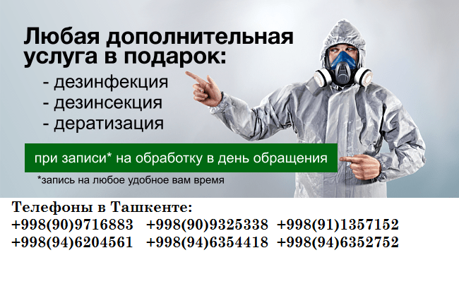 Дезинфекция визитка. Дезинсекция визитка. Дезинфекция реклама. Дезинсекция реклама.